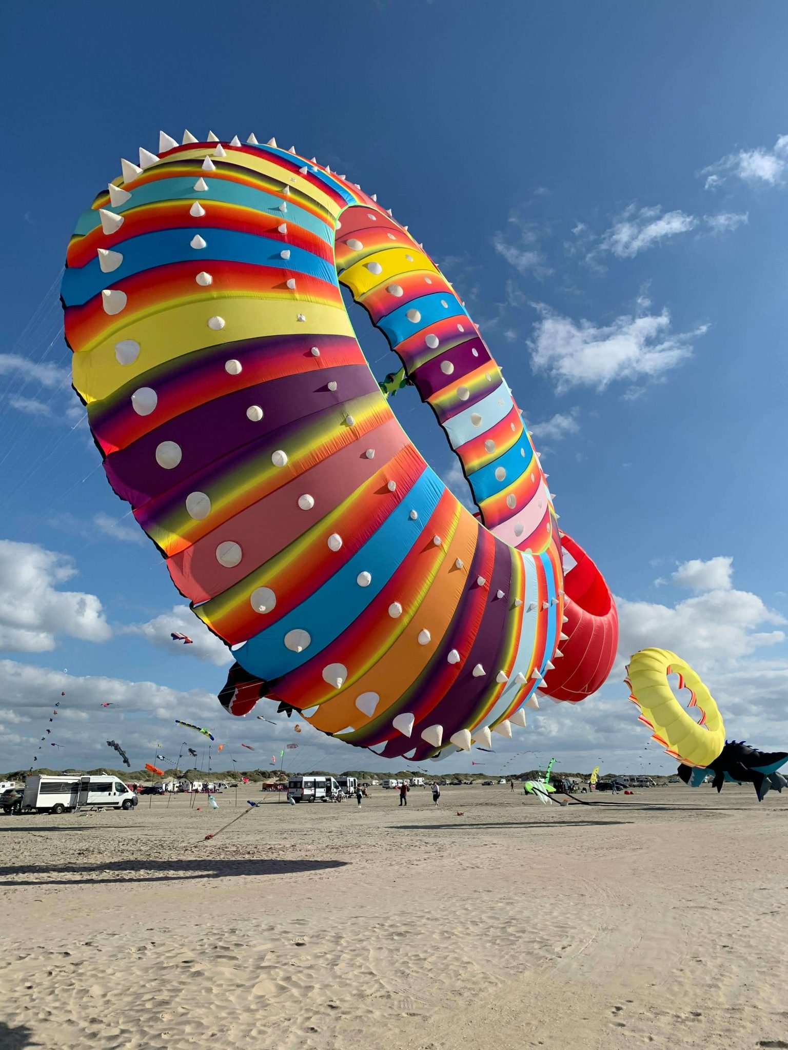 kites-on-the-coast