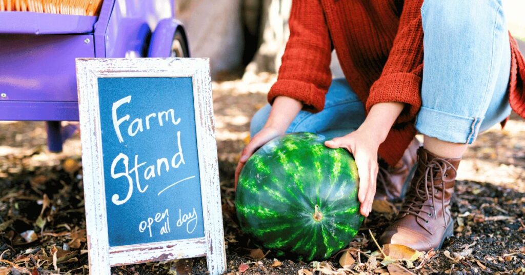farmers market watermelon